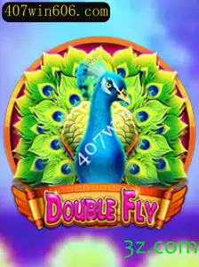 Explorando o Mundo de DoubleFly: Regras e Como Jogar